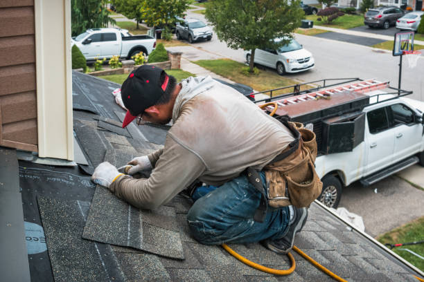 Professional Roof Leak Repair technician working in Shafer, MN